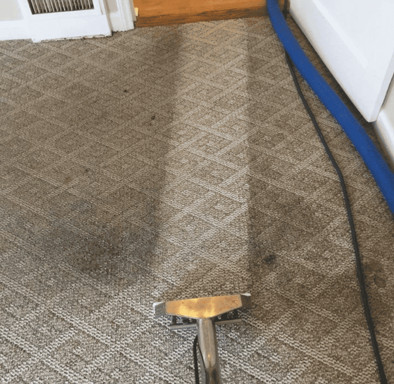 Professional carpet cleaning services Manchester