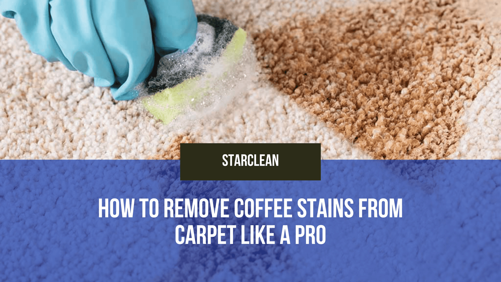 How to Remove Coffee Stains from Carpet Like a Pro